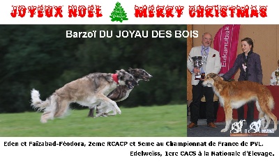 du Joyau des Bois - Joyeuses fêtes de Noël à tous ! 