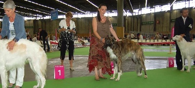 du Joyau des Bois - CH-LSP Eden DU JOYAU DES BOIS  et le vice-Champion du Monde Jeune Faïz