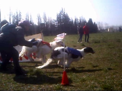 du Joyau des Bois - BRAVO Dimitriova pour le RCACP de Mollégès du 14/03/2010