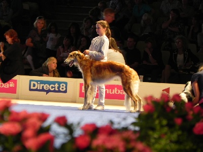 du Joyau des Bois - CHAMPIONNAT DE FRANCE ET DU MONDE 2011