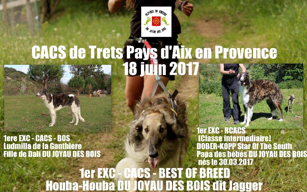 du Joyau des Bois - CACS de Trets Pays d'Aix 18 juin 2017 3 1ers et le BOB