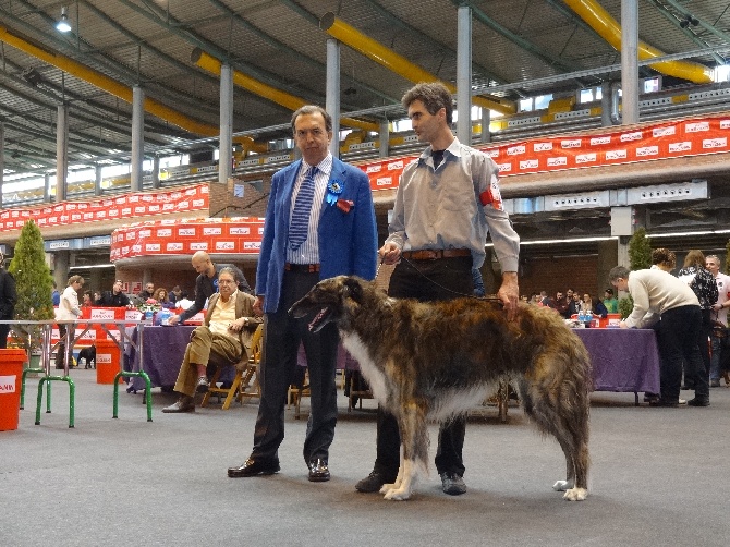 du Joyau des Bois - CACIB - CAC - BOS Girona 16.03.2014 - Faïsanoff DU JOYAU DES BOIS dit 