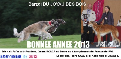 du Joyau des Bois - Bonne, belle et heureuse année 2013 à vous tous !