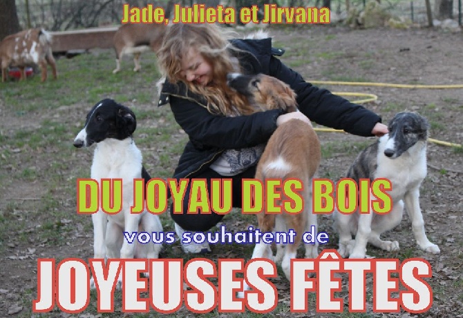 du Joyau des Bois - JOYEUSES FÊTES DE NOËL 2014 