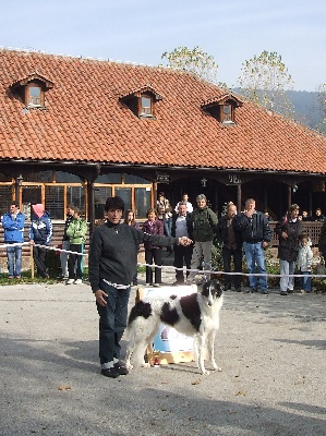 du Joyau des Bois - CHAMPIONNE DU MONTENEGRO 2012